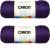 Spinrite Caron Simply Soft Solids Yarn Purple Pack of 2 Skein