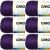 Spinrite Caron Simply Soft Solids Yarn Purple Pack of 6 Skein