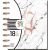 Me and My Big Ideas Create 365 Collection Planner Modern Marble