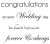 Mini Clear Stamp Wedding Words