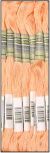 Sullivans 6 Strand Embroidery Cotton 8.7yd Peach
