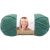 Lion Brand Vanna s Choice Yarn Sage Pack of 1 Skein
