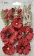 49 And Market Blossom Blends 13 Per Pkg Poppy 2.5inch