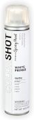 ColorShot Aerosol Spray Paint Primer 10oz White Matte