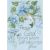 Dimensions Counted Cross Stitch Kit 5inchX7inch Hummingbird and Morning Glories 14 Count 