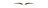 Savarnas Mantra Natural Womens Eyebrow Wig Medium Round