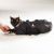 Top Performance Cat Grooming Bags M