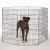 ProSelect Everlasting Dog Exercise Pens With Door 48 in