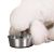 ProSelect Stainless Steel Bowls with Rubber Base 88 oz